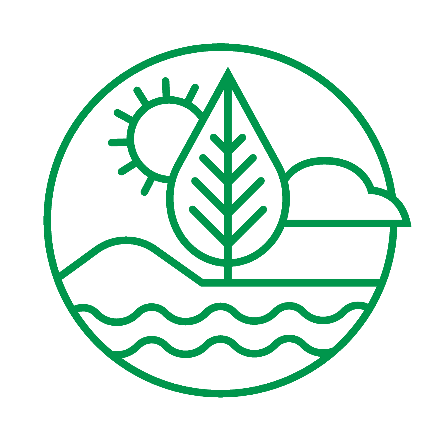 Protecting the Environment